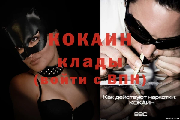 трава Абаза