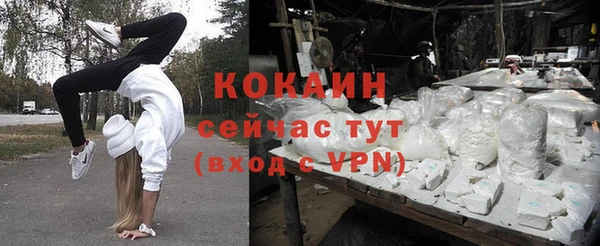 шишки Абдулино