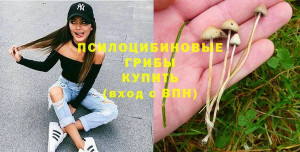 шишки Абдулино