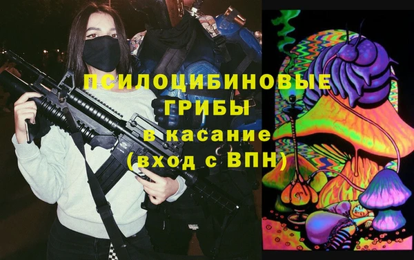 шишки Абдулино