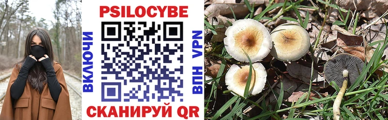 Галлюциногенные грибы Psilocybe  Киренск 